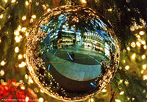 Weihnachtsbaum in Dresden auf dem Striezelmarkt