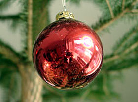 Weihnachtsbaum in Dresden auf dem Striezelmarkt