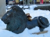 Plauen (Vogtland): ich freunde mich mit einem Löwen an. Ist ja auch nichts weiter als eine große Schmusekatze :)
