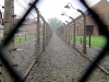 Einer der Todesstreifen mit Hochspannungszäunen in Auschwitz I