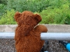 Der Bürgenstock ist eine wahre Herausforderung für mutige Bären! Soooo hoch !!!