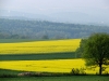 Prachtvolle und farbenfrohe Landschaft