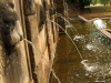 Detailaufnahme der Wasserspeier vom Europabrunnen auf dem Königsheimplatz (Blasewitz)