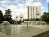 Bei den Pusteblumen auf dem Albert-Wolf-Platz (Prohlis) wechseln sich Blumen und Pilze mit dem Wasser ab