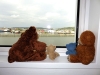 In Göteborg haben wir eine Kajüte auf dem Hotelschiff als Schlafplatz gehabt. Mit Blick aufs Wasser! Allerdings gab es auch zu viel Wasser vom Himmel, darum blieben alle Bären lieber im Zimmer ...