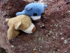 Wir fanden auf manchen Felsen irgendwas, was wir nicht kannten. Wir fragen Mama und sie nannte sie Flechten. Dinki und ich haben sehr lange beobachtet, abär sie waren faul und haben gar nix geflochten!