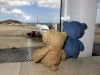 Im Flughafen guckten wir noch den Flugzeugen beim Trinken zu und dann wurden auch wir aufgerufen, nach Hause zu fliegen ... [leider das Ende dieser Erobärung !]